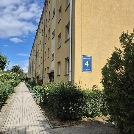 Kopernika